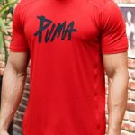 تیشرت مردانه آستین کوتاه سوزنی پوما